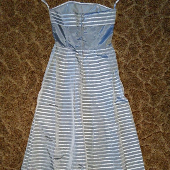 4/$20 | Algo Strapless Floor Length Silver Striped Dress - Picture 10 of 12